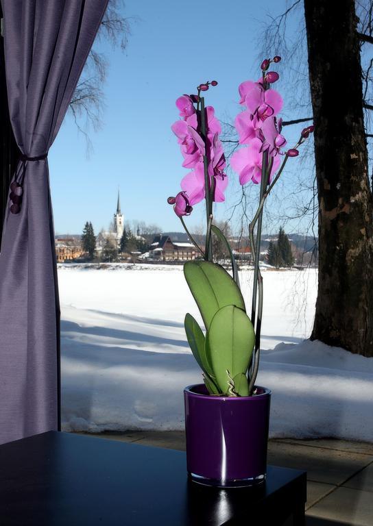 Apartmány Bella Vista Lipno Frydava Exteriér fotografie