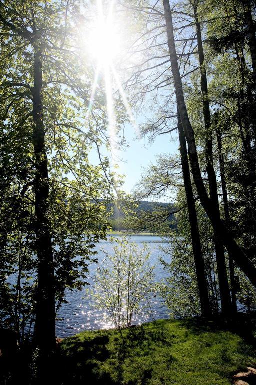 Apartmány Bella Vista Lipno Frydava Exteriér fotografie