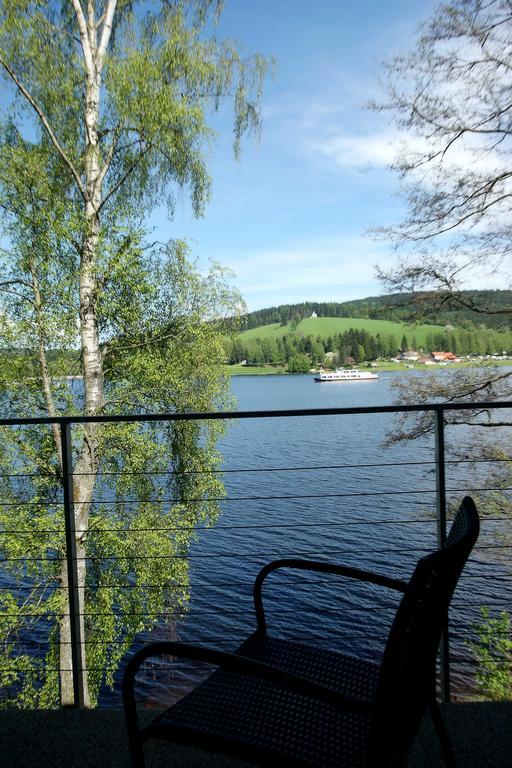 Apartmány Bella Vista Lipno Frydava Pokoj fotografie