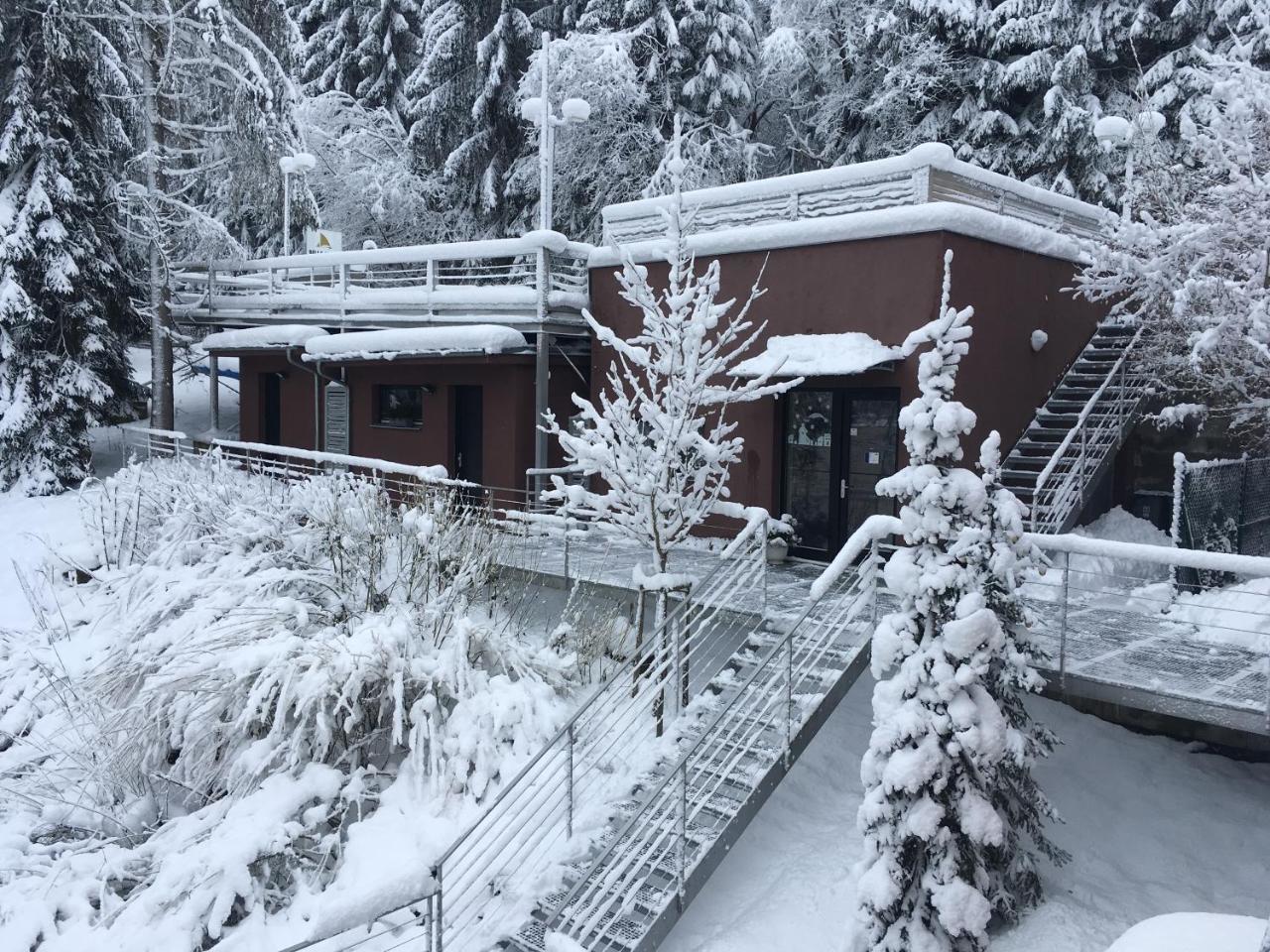 Apartmány Bella Vista Lipno Frydava Exteriér fotografie